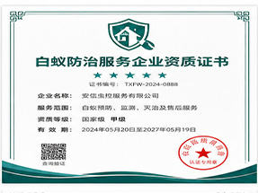 南宁市兴宁区绿色环保推广产品荣誉证书